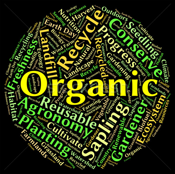 Organic Word Means Natural Healthy And Nature Stock photo © stuartmiles