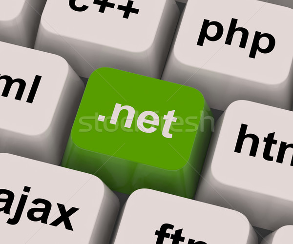 Stockfoto: Net · sleutel · programmering · taal · domein