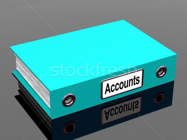 Accounts File Shows Accounting Profit And Expenses Stock photo © stuartmiles