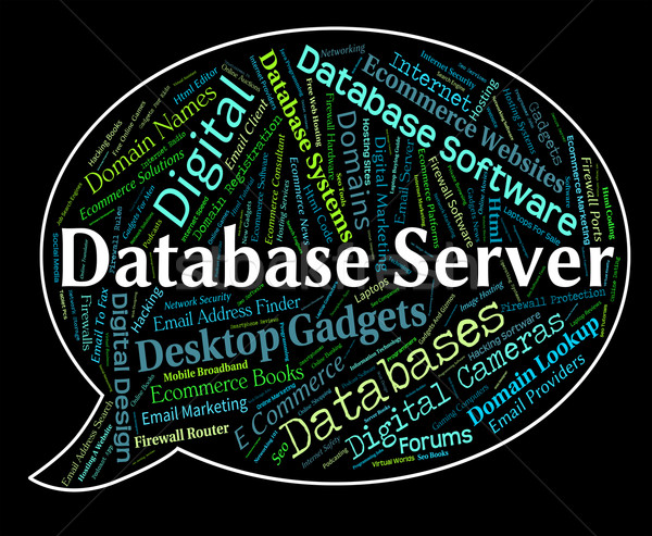 Datenbank Server Wort Vernetzung Bedeutung Computer Stock foto © stuartmiles