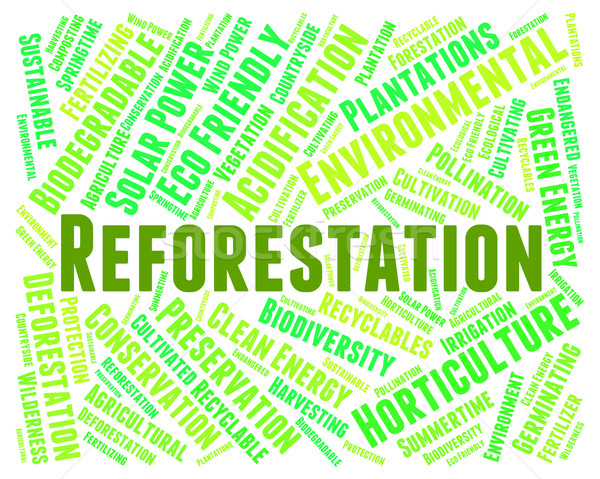 Reforestation Word Means Reforesting Forests And Woodland Stock photo © stuartmiles