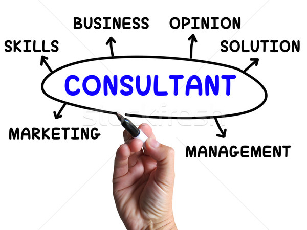 Consultant Diagram Shows Expert With Opinions And Solutions Stock photo © stuartmiles