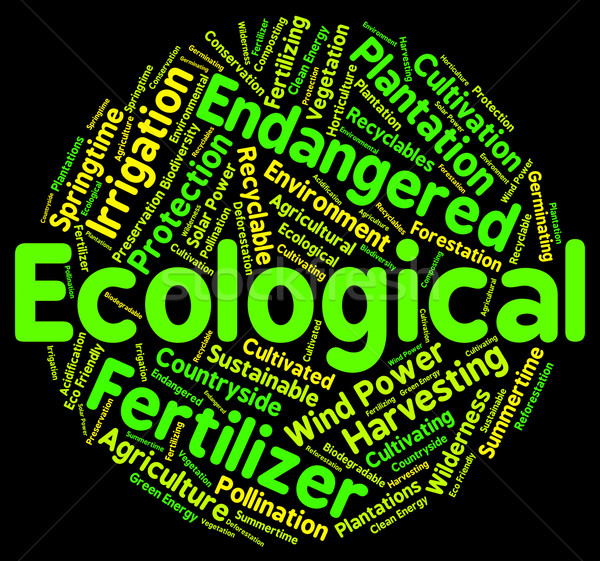 Umweltfreundlich Erhaltung ökologische Wort Bedeutung Stock foto © stuartmiles