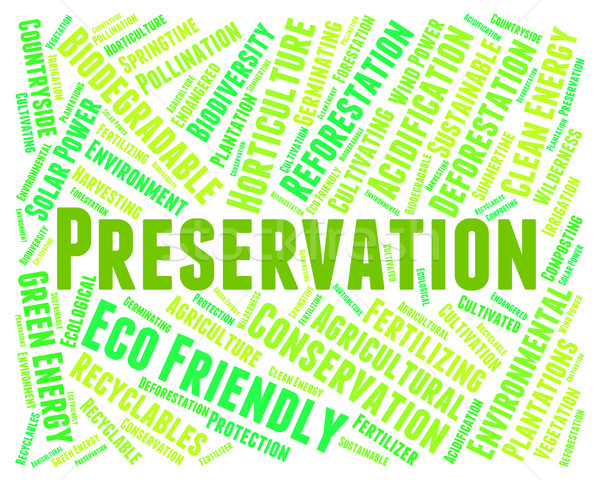 Preservation Word Represents Earth Friendly And Conserving Stock photo © stuartmiles