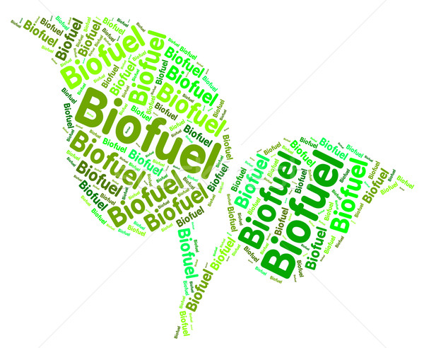 Biofuel Word Represents Power Source And Biofuels Stock photo © stuartmiles