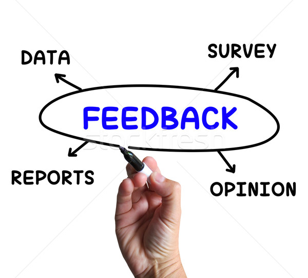 Feedback Diagram Means Survey Reports And Opinion Stock photo © stuartmiles
