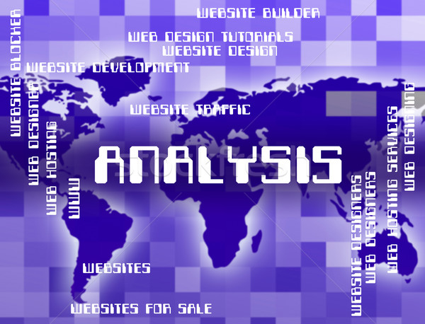 Analyse woord gegevens analytics tonen onderzoek Stockfoto © stuartmiles