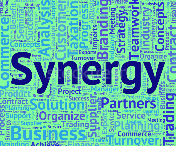 Synergy Word Means Team Work And Partner Stock photo © stuartmiles
