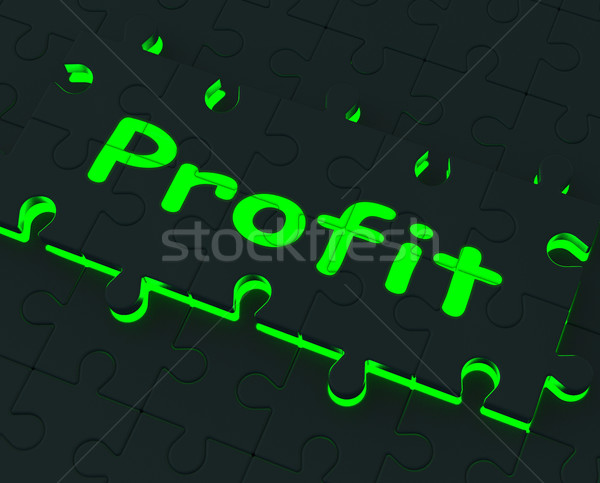 Profitto puzzle guadagni investimento redditizia Foto d'archivio © stuartmiles