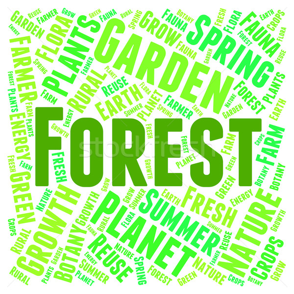 Forest Word Means Trees Copice And Park Stock photo © stuartmiles