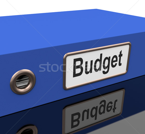 Budget File With Report On Spending Plan Stock photo © stuartmiles