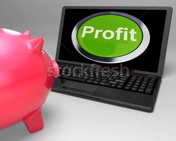 Foto stock: Lucro · botão · laptop · financeiro · crescimento · comércio