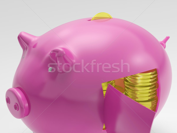 Gold Coins Shows Finances Wealth And Riches Stock photo © stuartmiles