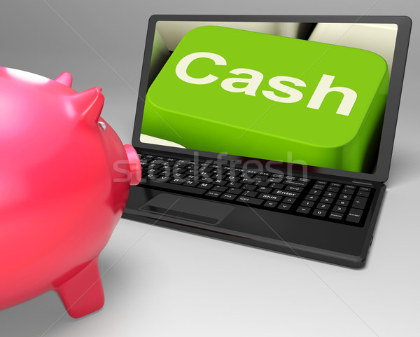Cash Key On Laptop Showing Money Savings Stock photo © stuartmiles