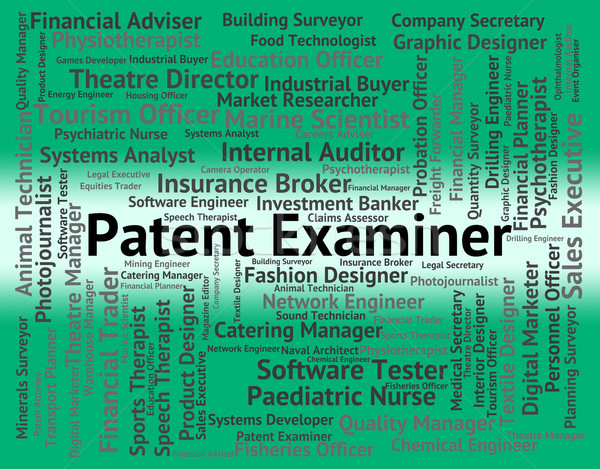Patent Examiner Means Performing Right And Analyst Stock photo © stuartmiles