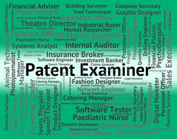 Patent Prüfer richtig Analyst Mitarbeiter Stock foto © stuartmiles