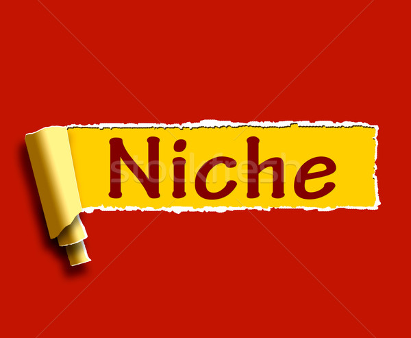 Niche Word Shows Web Opening Or Specialty Stock photo © stuartmiles