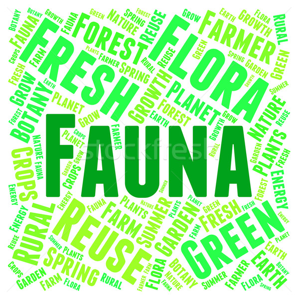 Fauna Word Indicates Animal Kingdom And Area Stock photo © stuartmiles