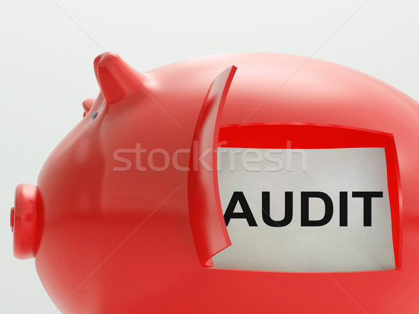 Audit Piggy Bank Means Inspection And Validation Stock photo © stuartmiles