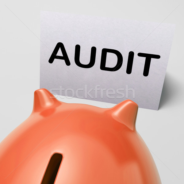 Audit Piggy Bank Shows Inspect Analyze And Verify Stock photo © stuartmiles
