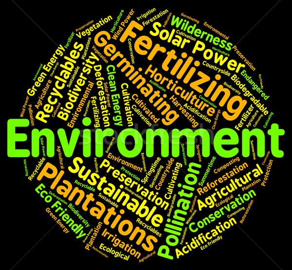 Environment Word Means Eco Systems And Ecosystem Stock photo © stuartmiles