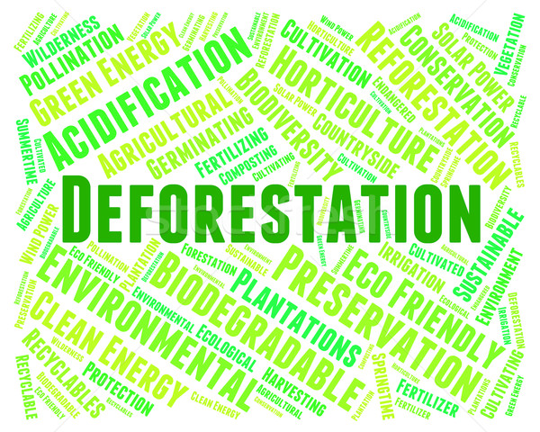 Deforestation Word Means Cut Down And Clear Stock photo © stuartmiles