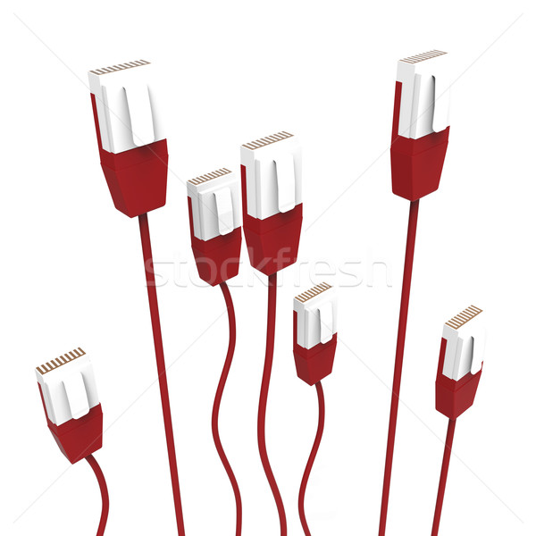 Computer Network Shows Connector Cable And Global Stock photo © stuartmiles