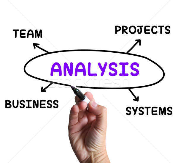 Analysis Diagram Shows Examining Projects And Systems Stock photo © stuartmiles