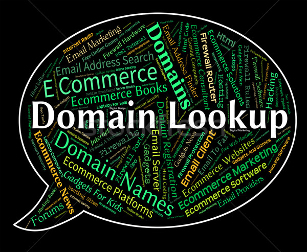 Domain Lookup Means Researcher Dominion And Search Stock photo © stuartmiles