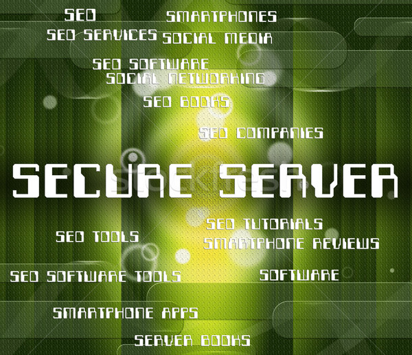 Bezpieczne serwera komputera serwerów szyfrowanie bezpieczeństwa Zdjęcia stock © stuartmiles