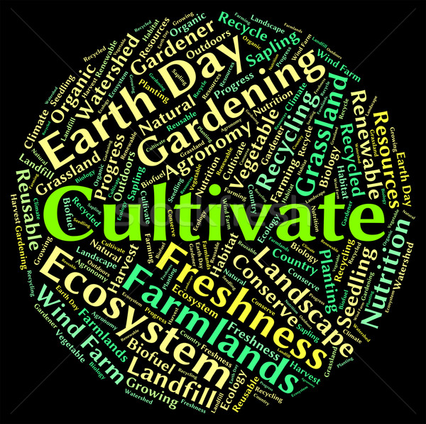 Cultivate Word Represents Farms Cultivated And Words Stock photo © stuartmiles