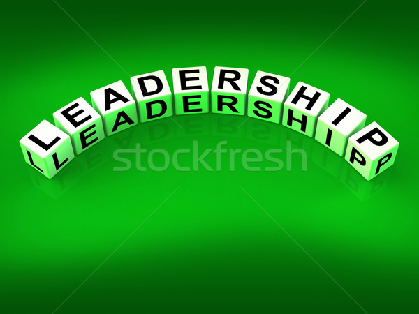 Führung Würfel Führung beeinflussen Management Bedeutung Stock foto © stuartmiles