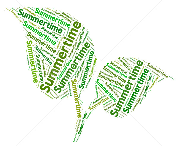 Summertime Word Indicates Warm Words And Heat Stock photo © stuartmiles
