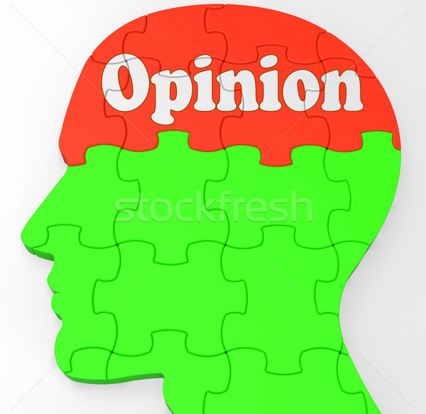 Opinion Mind Shows Feedback Surveying And Popularity Stock photo © stuartmiles