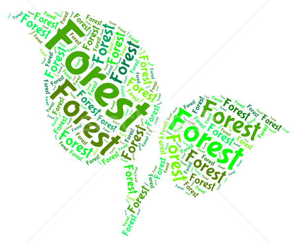 Forest Word Indicates Forested Woodlands And Forestation Stock photo © stuartmiles