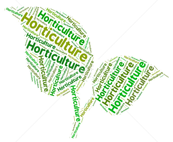 Horticulture Word Represents Flower Garden And Agricultural Stock photo © stuartmiles