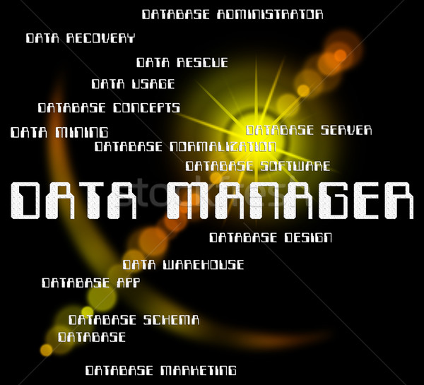 Stock photo: Data Manager Shows Bytes Director And Managers