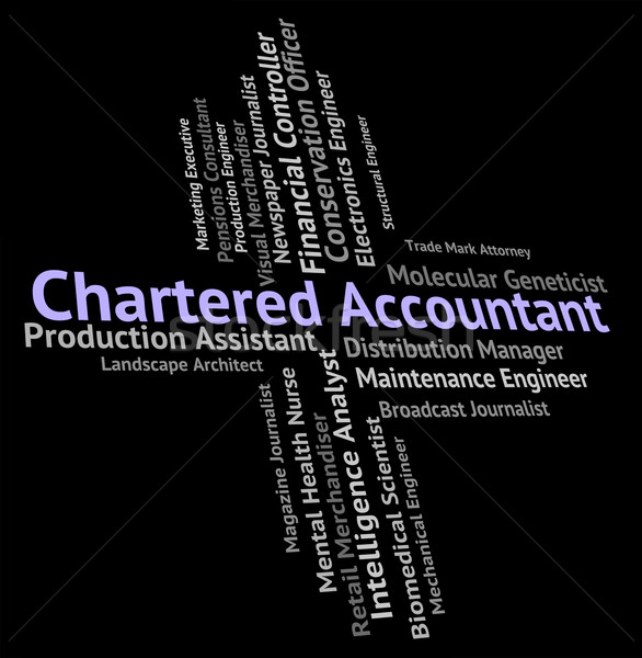 Chartered Accountant Shows Balancing The Books And Audit Stock photo © stuartmiles