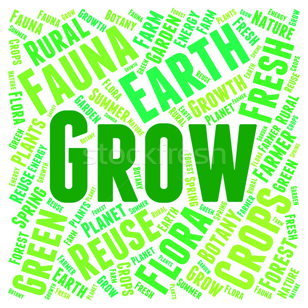 Words Grow Represents Cultivate Cultivation And Cultivates Stock photo © stuartmiles