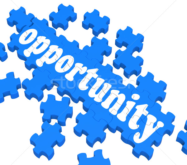 Opportunity Puzzle Shows Career Chances Stock photo © stuartmiles