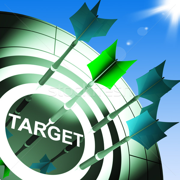 Target On Dartboard Showing Successful Shooting Stock photo © stuartmiles