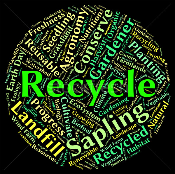 Recycle Word Shows Earth Friendly And Recyclable Stock photo © stuartmiles