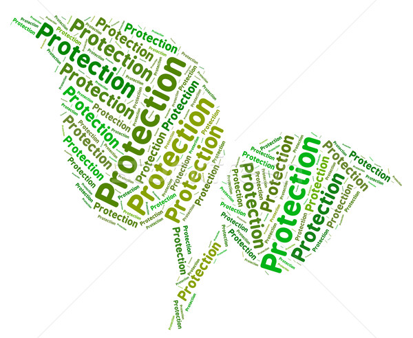Environmental Protection Shows Eco Friendly And Words Stock photo © stuartmiles
