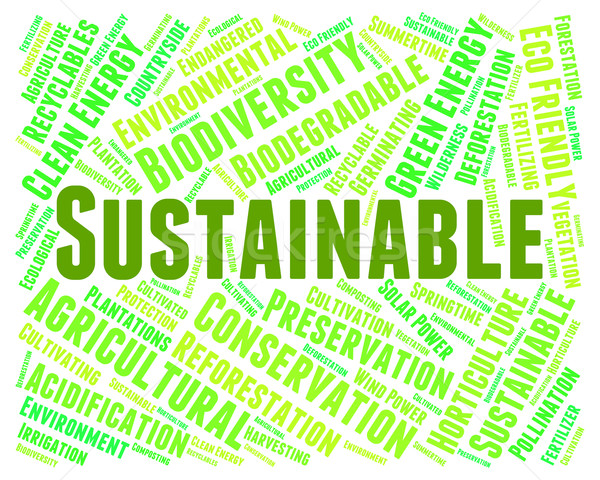 Sustainable Word Indicates Conservation Words And Ecological Stock photo © stuartmiles