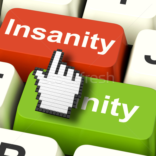Insanity Sanity Keys Shows Sane And Insane Psychology Stock photo © stuartmiles