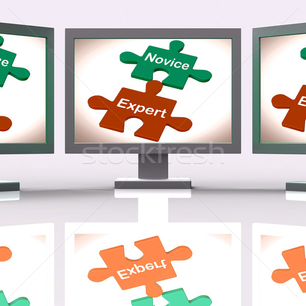 Novice Expert Puzzle Screen Shows Unskilled And Professional Stock photo © stuartmiles