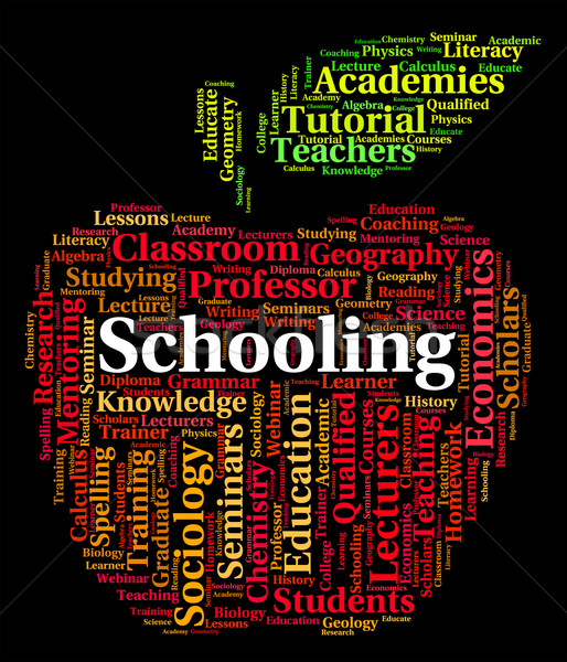 Schooling Word Shows Study Schools And Education Stock photo © stuartmiles