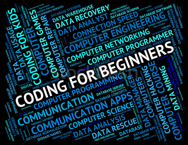 Coding For Beginners Shows New Girl And Apprentice Stock photo © stuartmiles