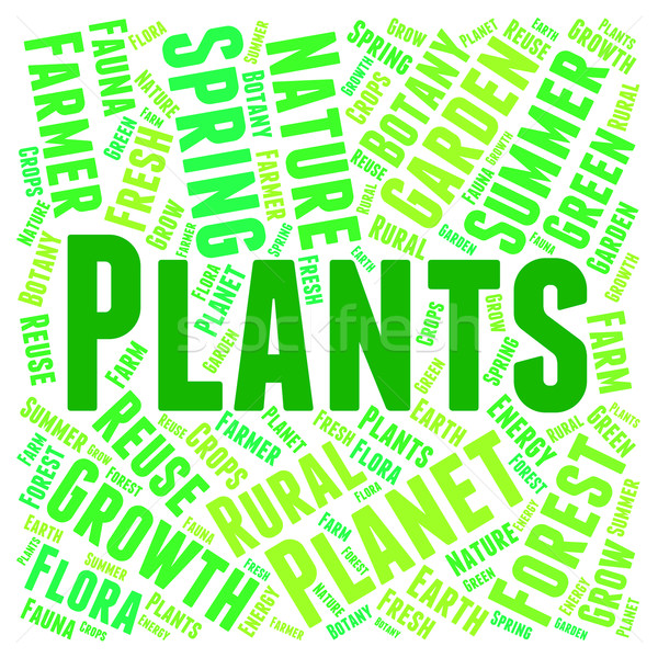 Plants Word Indicates Flora Text And Botanical Stock photo © stuartmiles