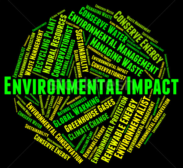 Environmental Impact Means Environmentally Consequence And Asses Stock photo © stuartmiles